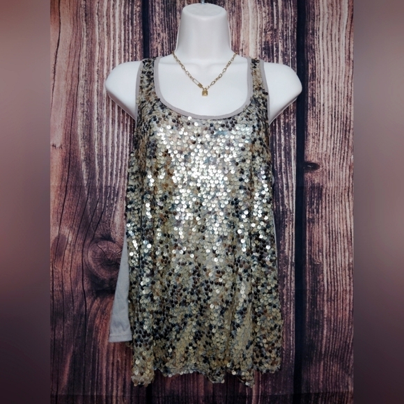 Tops - BKE Boutique Sequin Tank Top Size XS